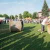 PIKNIK 2012 238